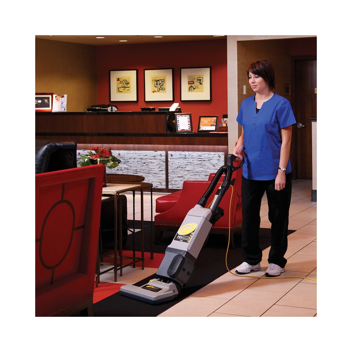 Upright Vacuum Cleaner Proteam